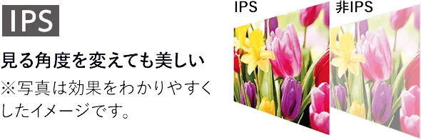 IPS 見る角度を変えても美しい ※写真は効果をわかりやすくしたイメージです。