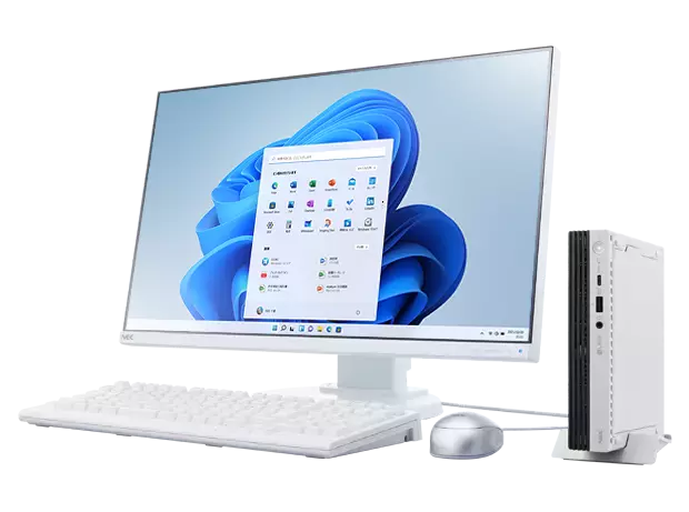 LAVIE Direct DT Slim
