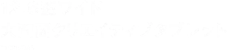 12.6型ワイド 大画面クリエイティブタブレット T1295/DAS
