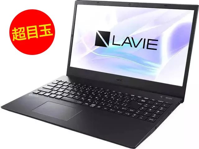 LAVIE Direct N15(A) [Windows 11 Home、AMD 3020e、4GBメモリ、1TB 